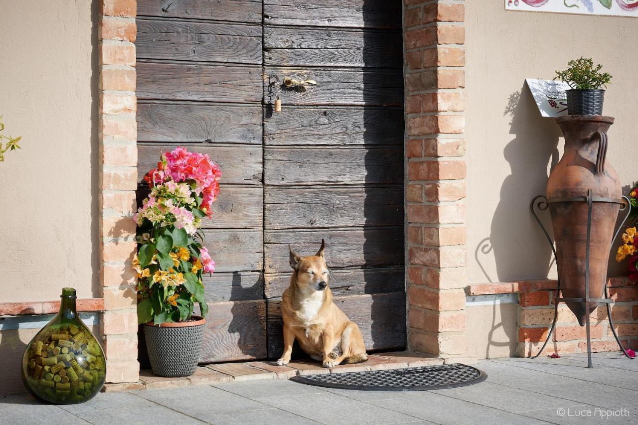 Гостьовий будинок Agriturismo Cascina Sciulun Монфорте-д'Альба Екстер'єр фото